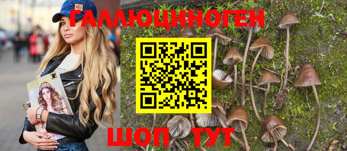 Корсаков  Галлюциногенные грибы Magic Shrooms  Вход с VPN 