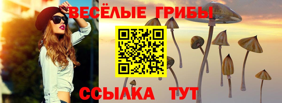 Галлюциногенные грибы мицелий Корсаков