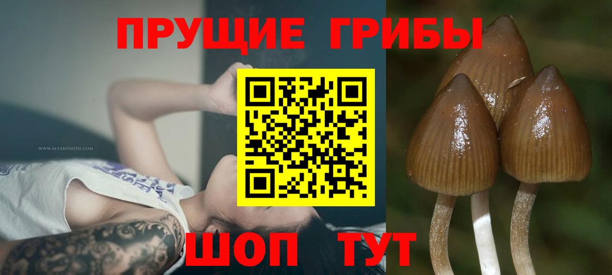 Корсаков  Экстази  НБОМе  Вход с VPN  ГАШИШ  Кокаин  Бошки Шишки  Мефедрон кристаллы 